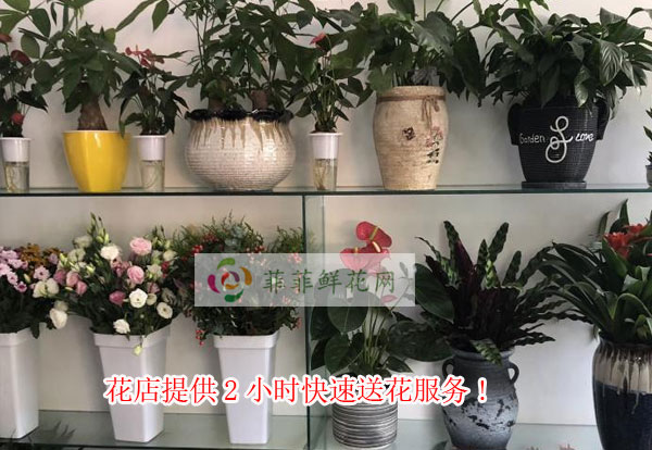 上海黄浦区花店提供上海黄浦区2小时快速送花服务